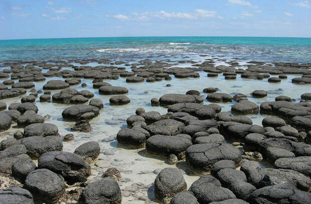 Живые камни Австралии