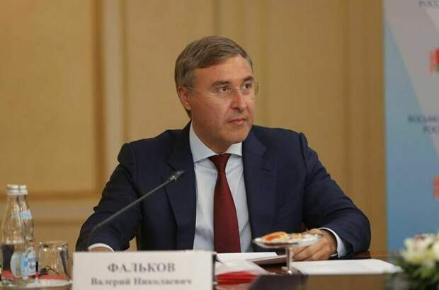 Фальков на заседании Совфеда 5 июня ответит на вопросы сенаторов