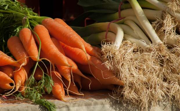 food produce vegetable market carrot vegetables leeks carrots vegetable garden grass family