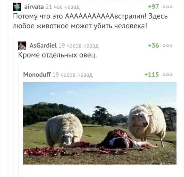 Смешные комментарии. Подборка chert-poberi-kom-chert-poberi-kom-33340421092020-7 картинка chert-poberi-kom-33340421092020-7