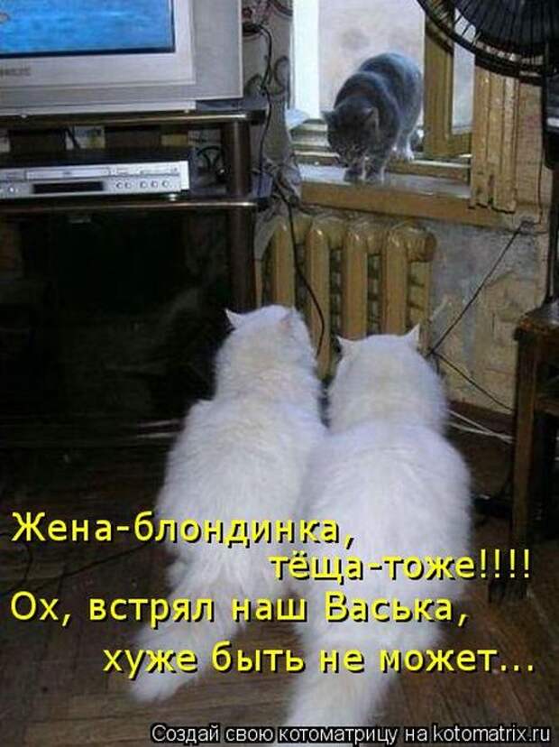 Мысли вслух :)