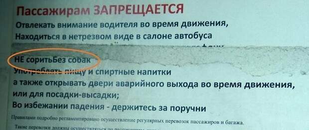 Т.е. с собаками сорить можно? запрет, запреты, знаки, подборка, прикол, юмор