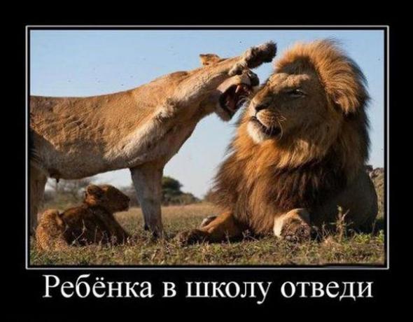 Немного новых демотиваторов