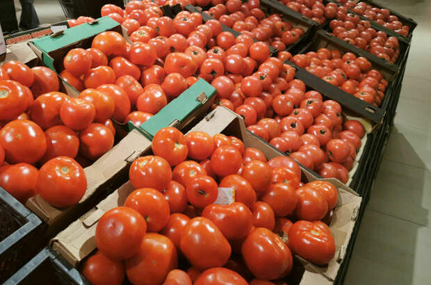 Эксперт рассказал, сколько будут стоить овощи к весне