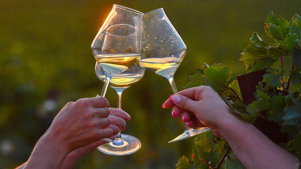 5 лучших виноделен Краснодарского края