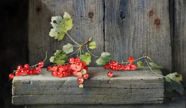 �������� ��������� ��������� �����. ����� 4. ������� ����������.