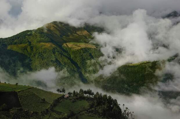 Эквадор и Галапагосские Острова travel, photography, ecuador