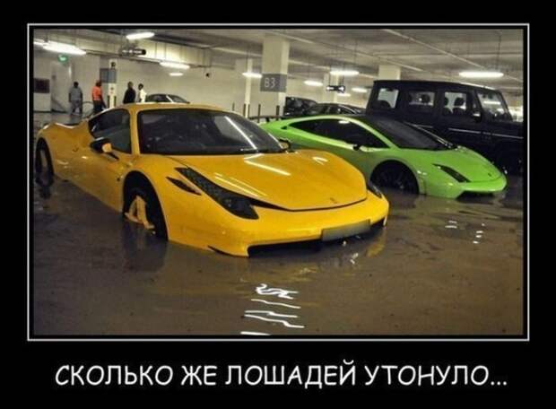 Демотиваторы (30 фото)