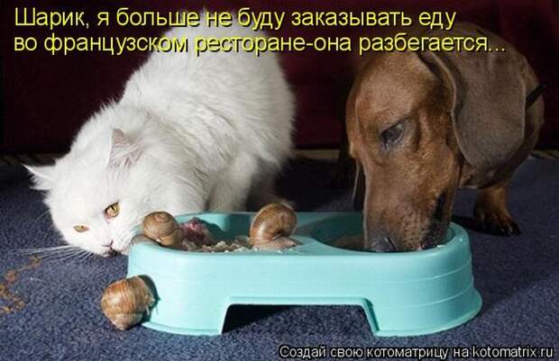 Мысли вслух :)