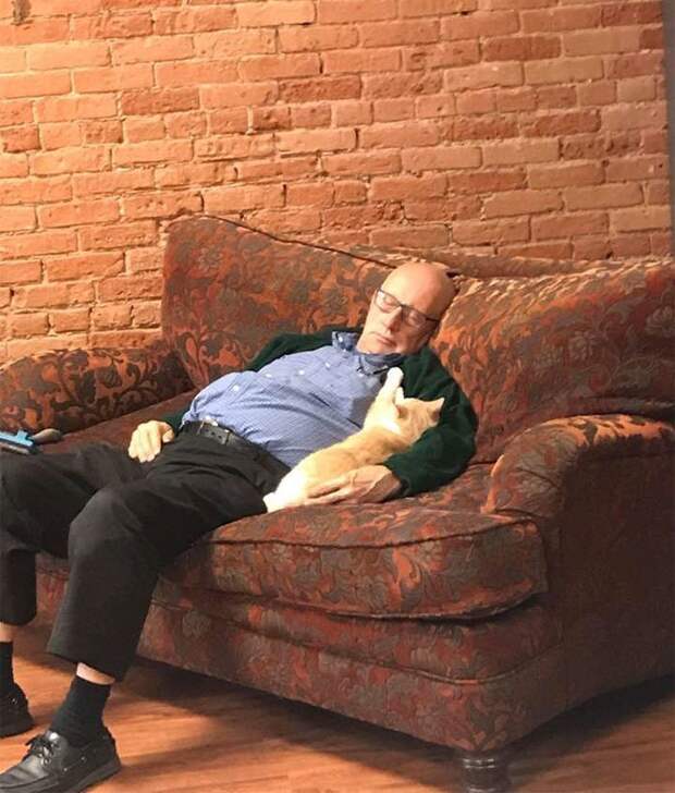 Спящий волонтер стал настоящей звездой кошачьего приюта