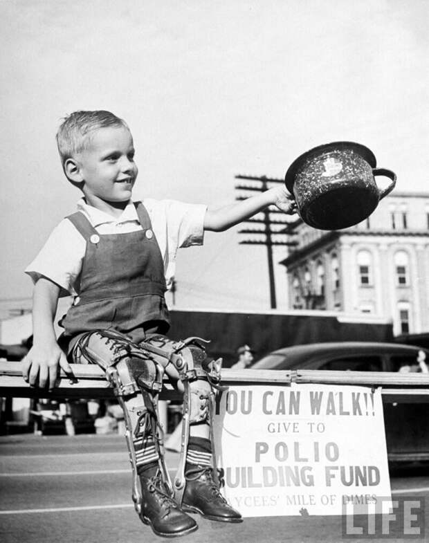 Дэвид Хэнсли, маленький ребенок, искалеченный полиомиелитом с обеими ногами в скобках, собирает средства в государственном агентстве по сбору средств для новой больницы для полиомиелита. High Point, NC 1948.  история, люди, фото