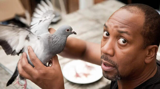 Это что - из голубей? Русское блюдо напугало Мита. А потом он и про "птичье молоко" узнал