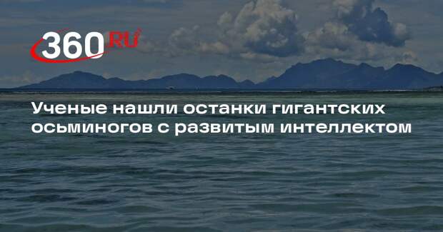Science: ученые обнаружили останки гигантских осьминогов размером с кракена