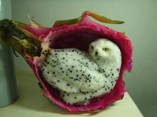 Снежная сова, вырезанная из драконьего фрукта