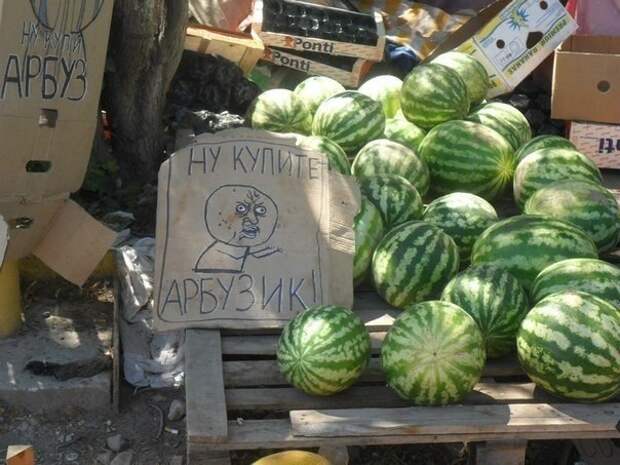 Забавные объявления, надписи и иной человечий креатив