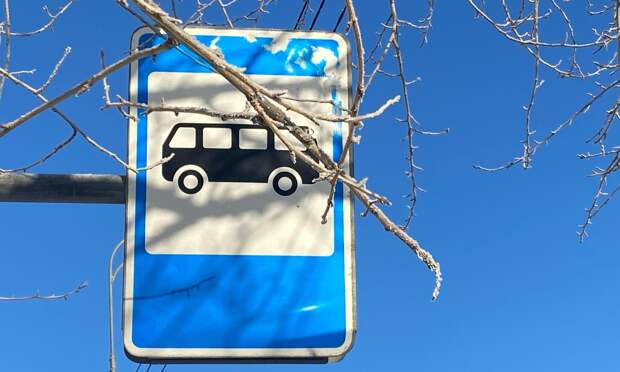 В Архангельской области расторгнут контракт с автобусным перевозчиком