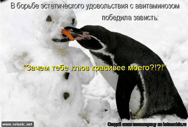 kotomatrix_113