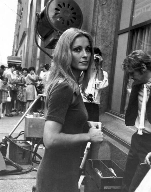Шарон Тейт на съемках фильма «Ребенок Розмари», 28 августа 1967 года , на Пятой авеню и 57-й улице в Нью-Йорке.  история, люди, фото