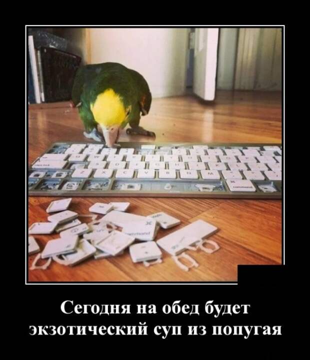 Демотиваторы Демотиваторы