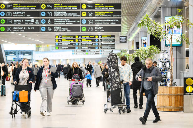 Десятки рейсов задержались в аэропортах Москвы из-за непогоды