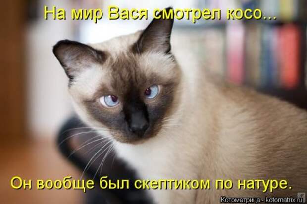 Новые крутые котоматрицы первой недели октября (50 фото) Новые крутые котоматрицы первой недели октября (50 фото)