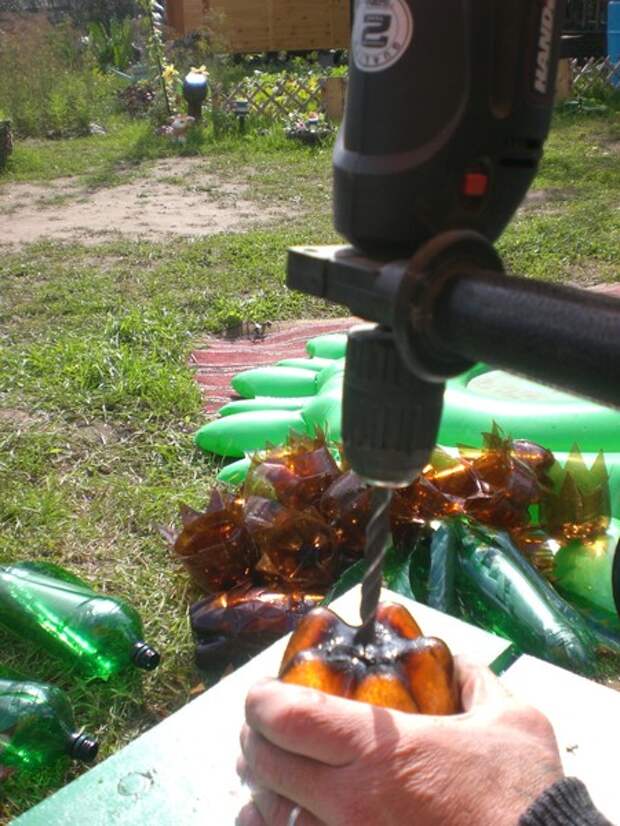 пальма бутылки