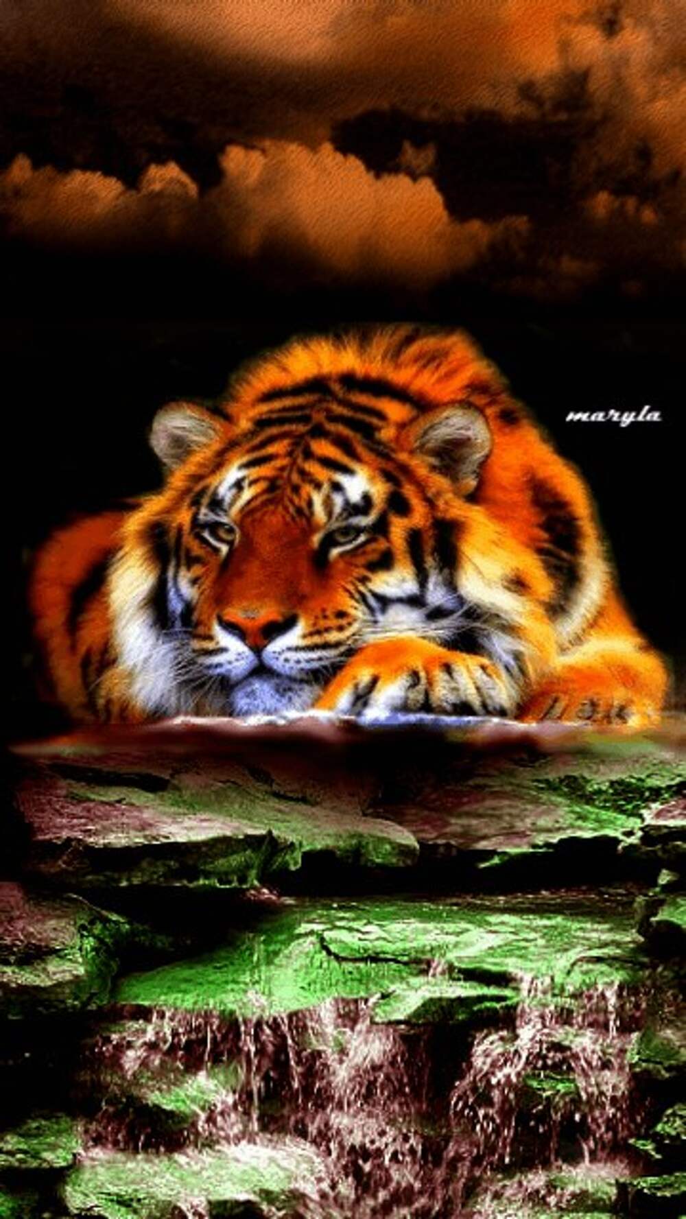 Анимированный тигр