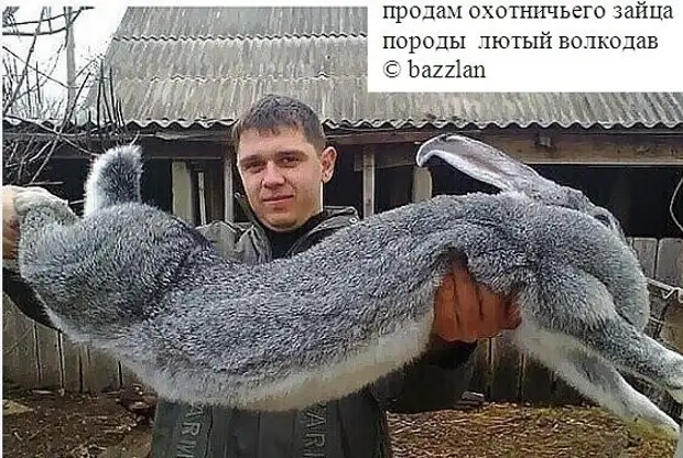 https://r.mt.ru/r27/photo806E/20083368806-0/jpg/bp.webp