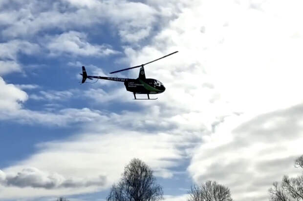 МЧС: для поисков детей в Подмосковье задействовали вертолеты