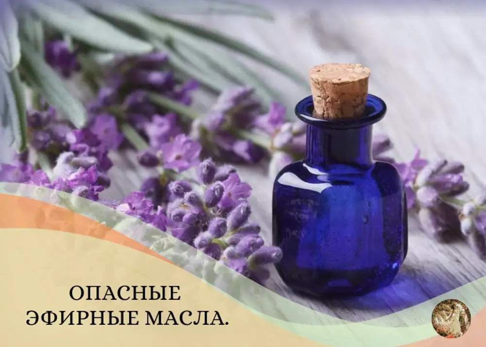 Эфирные масла - Познавательный сайт ,,1000 мелочей" - Медиаплатформа ...