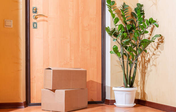 Бывший участник «Дома-2» полгода жил в подъезде: спал на коробках, буянил по ночам