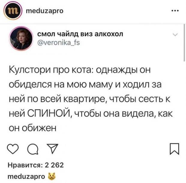 Коротко о главном