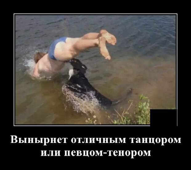 www.vsyako.net