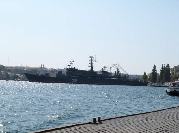 В петербургском порту обнаружили три килограмма наркотиков на 45 млн рублей