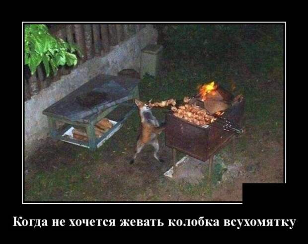Демотиваторы (30 фото)