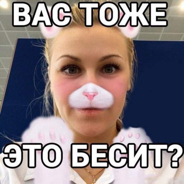 Смешные картинки с подписями (20 картинок)