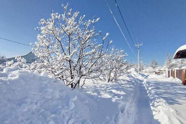 В выходные в Тамбове ожидаются снегопады