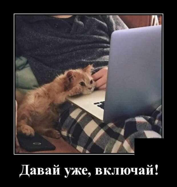 demotivatory-kartinki-smeshnye-kartinki-fotoprikoly