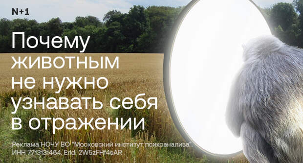 Финская сосна указала: всплеск радиоуглерода события Мияке начался в 665 году до н.э.