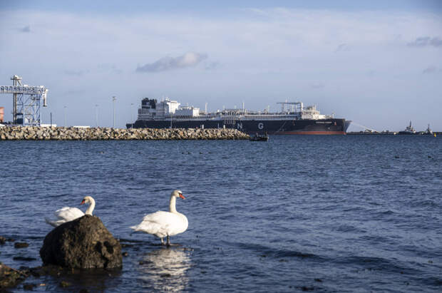 На Западе оценили «экстраординарное» решение ЕС против России