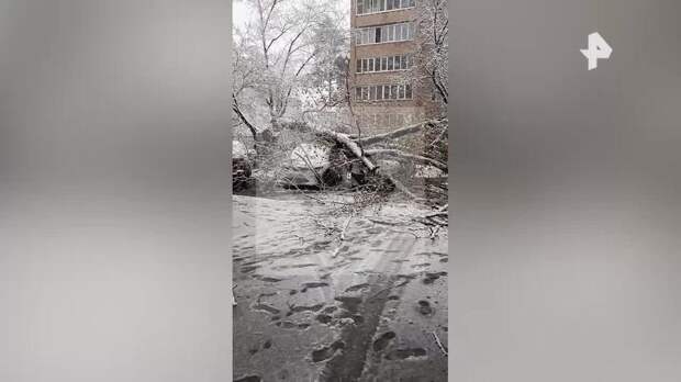 Цены на такси в Москве выросли вдвое из-за апрельского снегопада