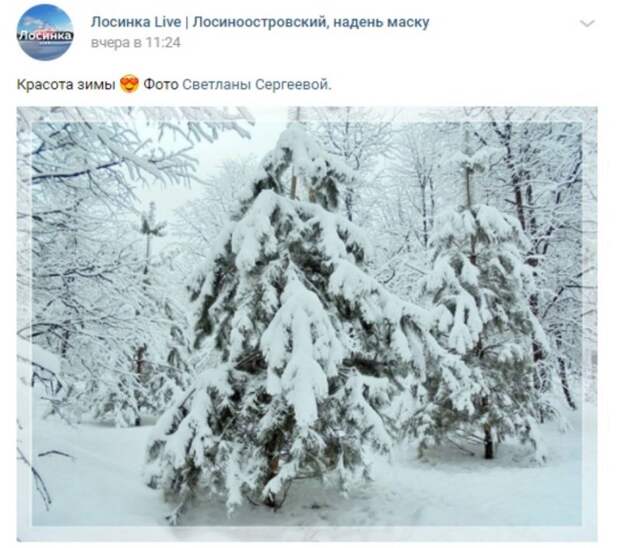 Фото: «Лосинка Live | Лосиноостровский, надень маску»