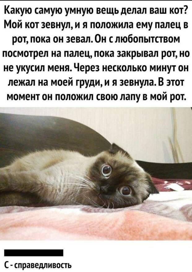 картинки прикольные смешные