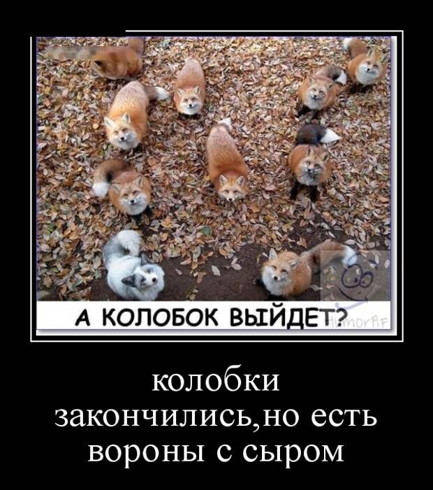 Демотиваторы (30 фото)