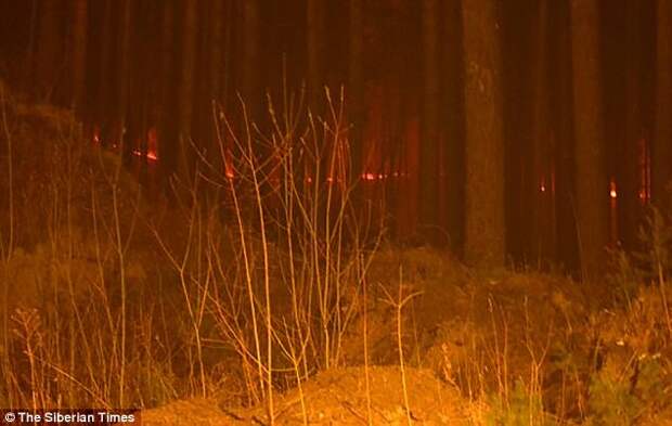 Пожары возникли из-за засухи и нарушения правил пожарной безопасности жителями города Железногорск, лес, пожар