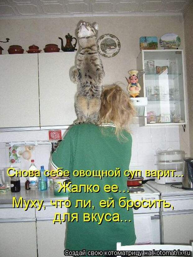 Мысли вслух :) 23 пушистые мыслишки
