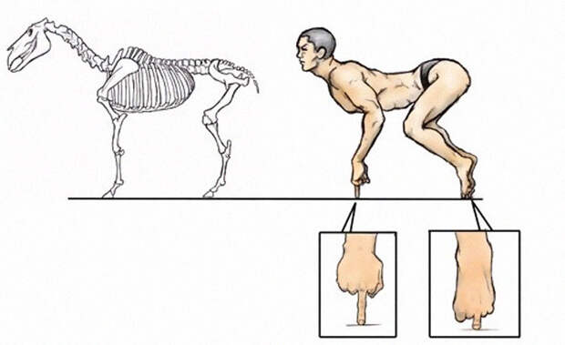 humans-animals-anatomy-satoshi-kawasaki-5d7f34b5249ac__700.jpg humans-animals-anatomy-satoshi-kawasaki-5d7f34b5249ac__700.jpg
