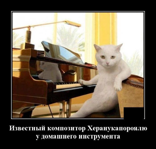 demotivatory-demotivator-smeshnye-demotivatory-demotivator-so-smyslom