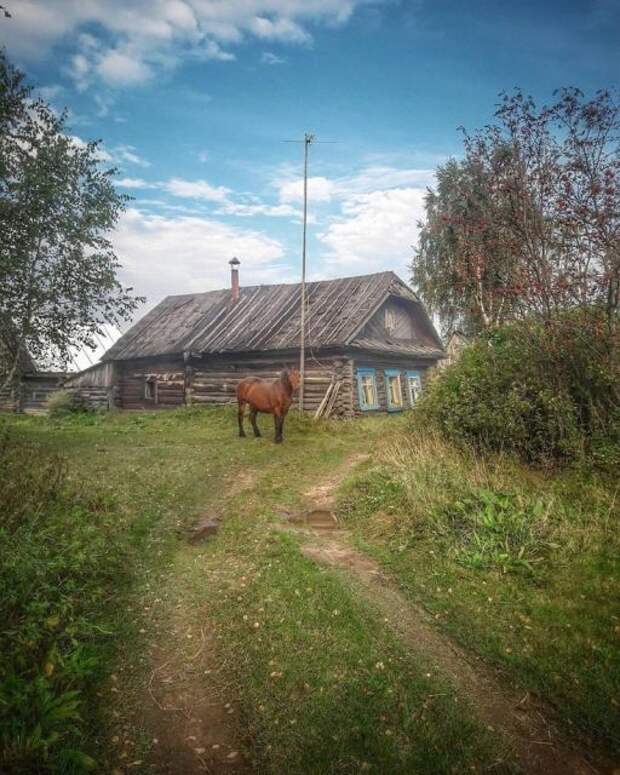 Фотографии русской деревни, которые вызывают ностальгию Фотографии русской деревни, которые вызывают ностальгию