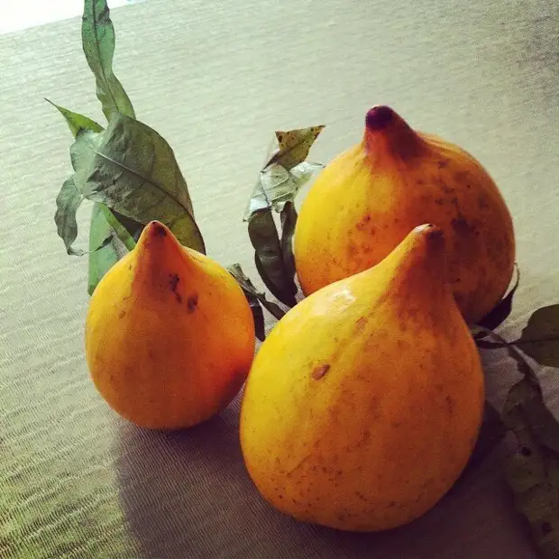 22 фрукта, которых многие никогда не пробовали